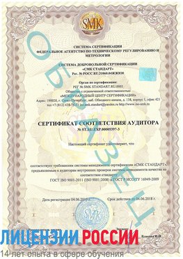 Образец сертификата соответствия аудитора №ST.RU.EXP.00005397-3 Соликамск Сертификат ISO/TS 16949
